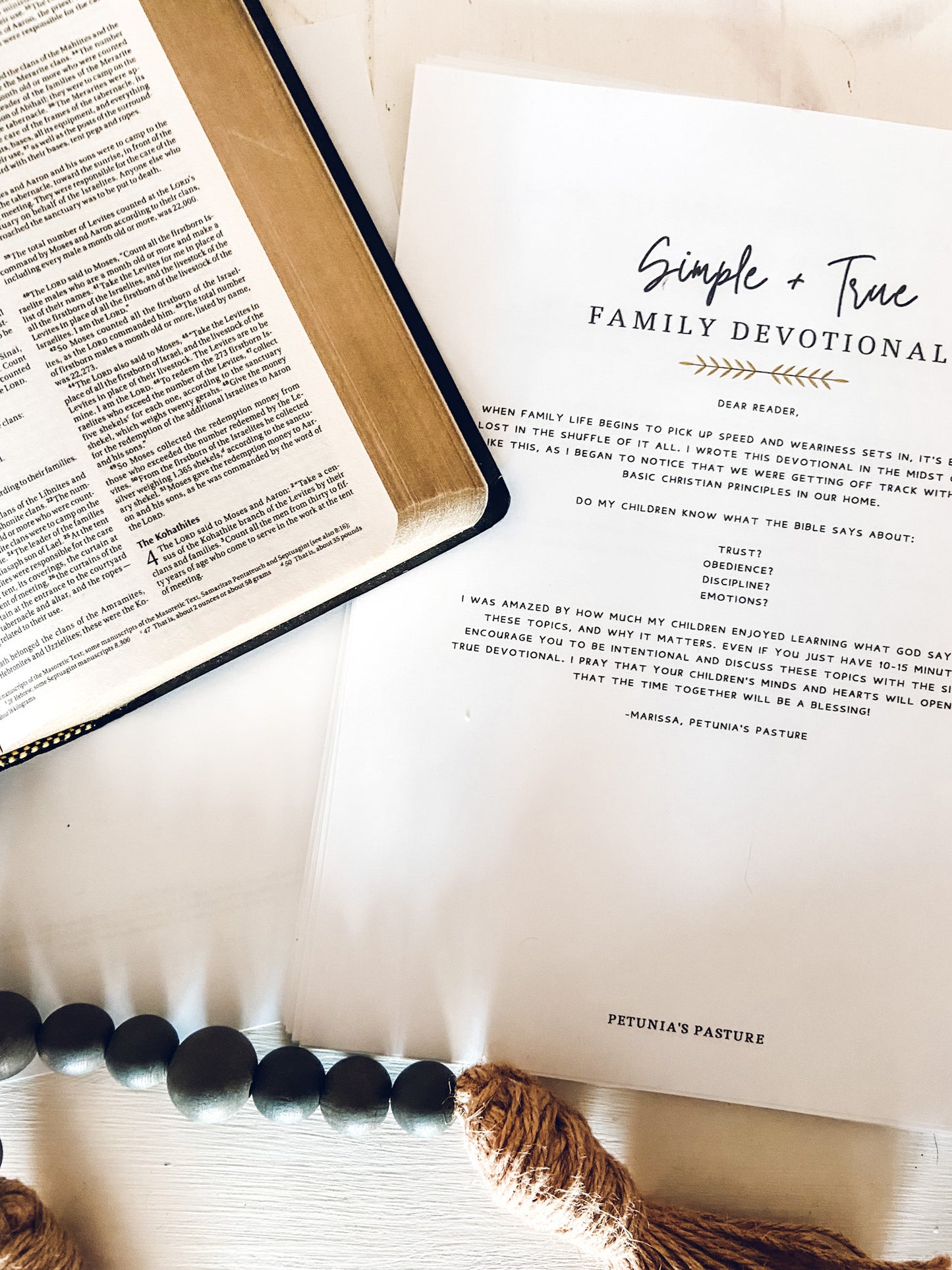 Simple + True Family Devotional Study