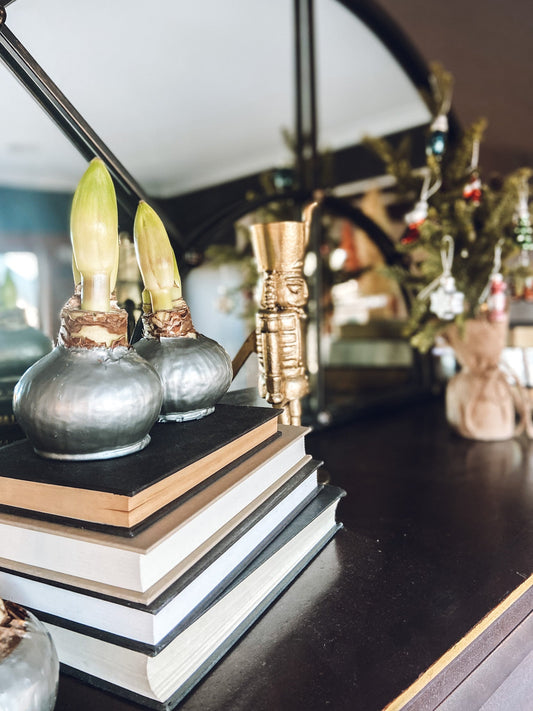 country cottage christmas decor