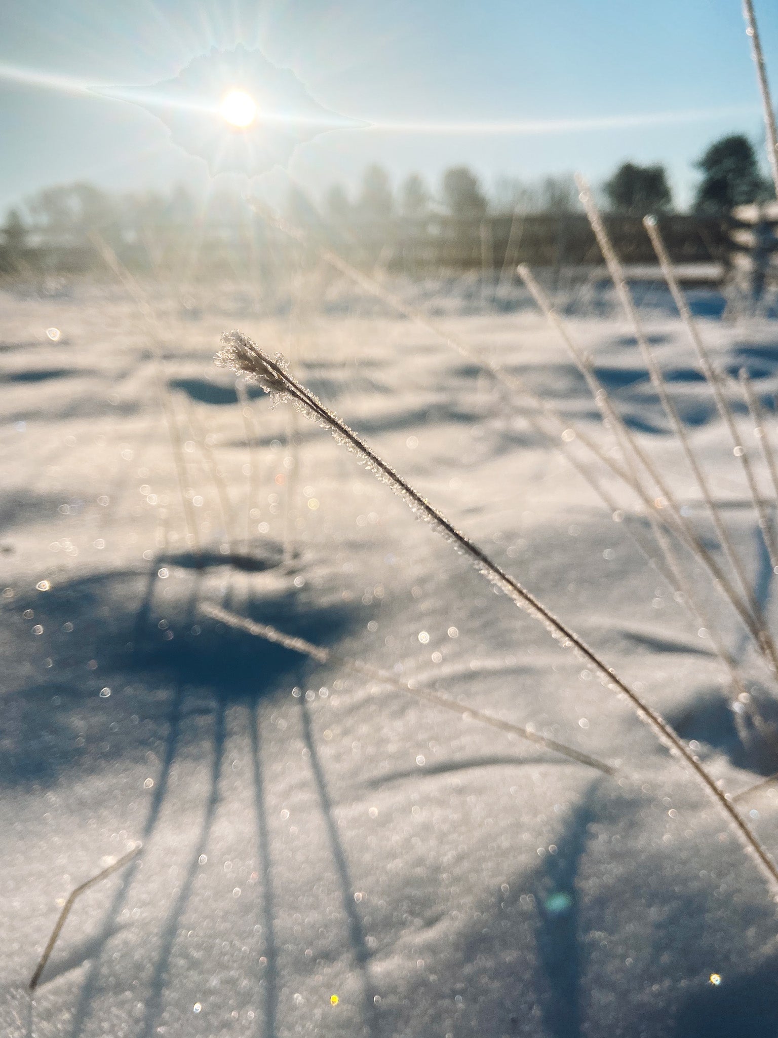 What To Do With Kids During Winter Break