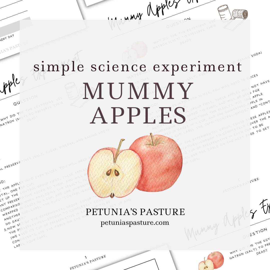 Simple Science Experiment: Mummy Apples
