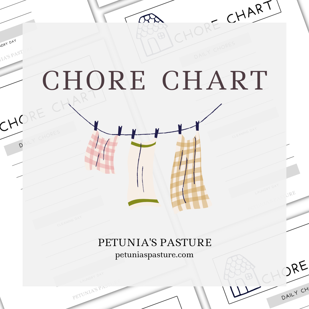 Chore Chart