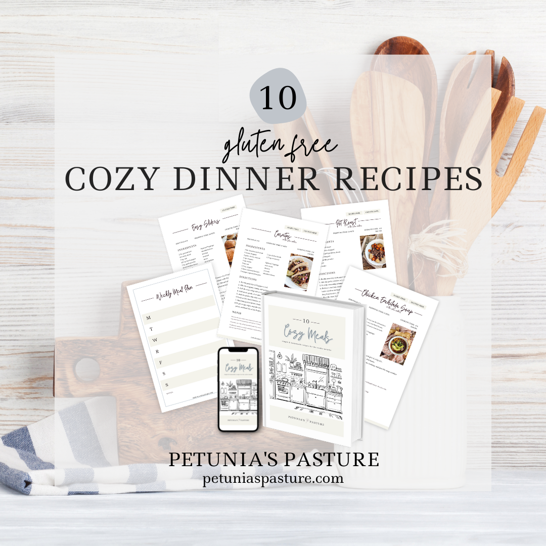 10 Cozy Dinner Recipes E-Book